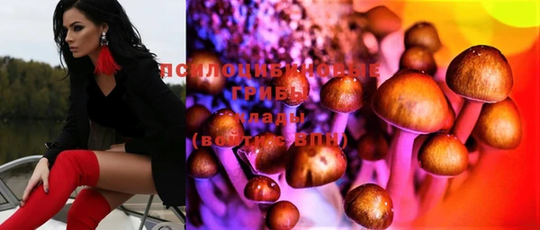 крисы Арсеньев